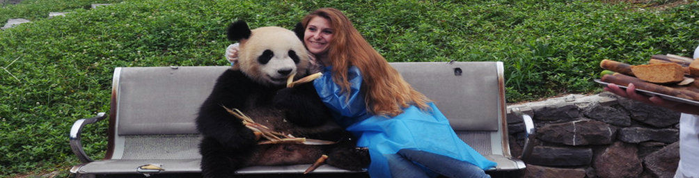 Туры к пандам в Китай